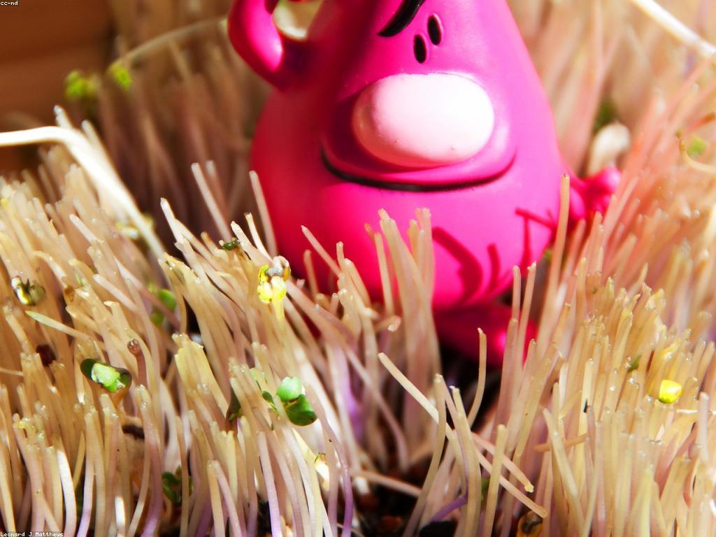 ប្រភេទការលេងសម្រាប់ការអភិវឌ្ឍន៍ច្នៃប្រឌិត