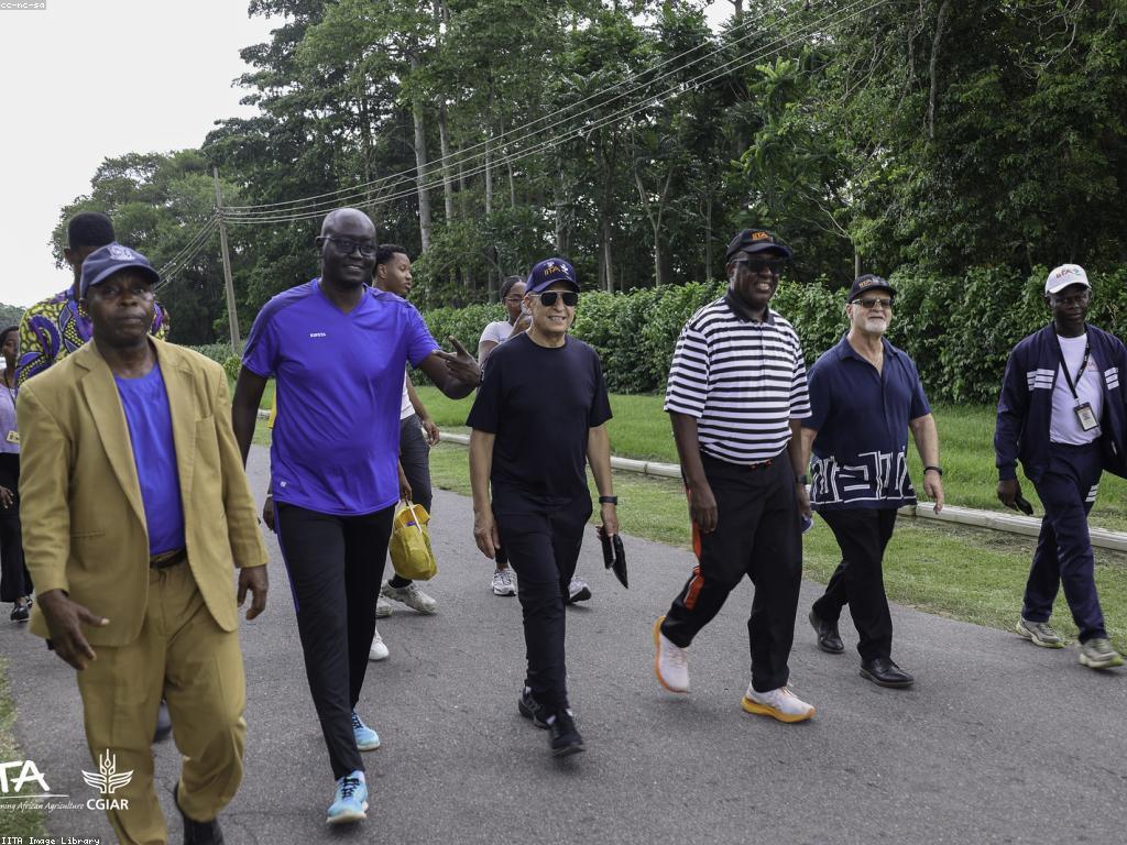 ប្រភេទការលេងក្នុងវប្បធម៌ខ្មែរ