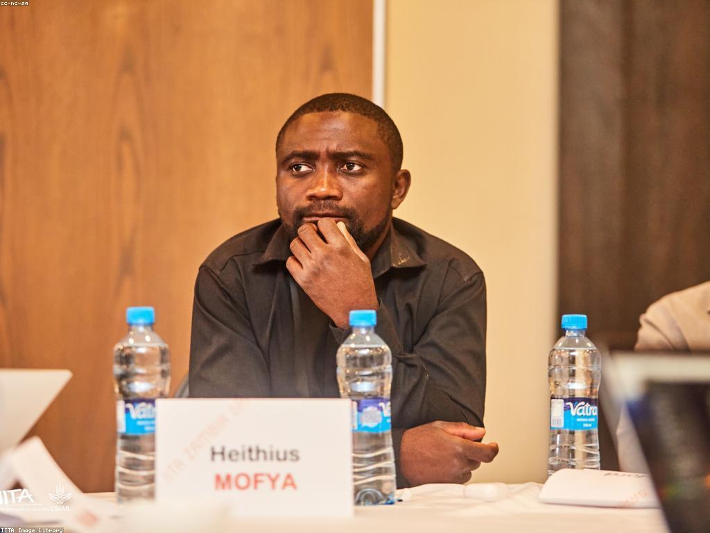 យុទ្ធសាស្ត្រនិងឱកាសសម្រាប់ភាពស្ថេរ